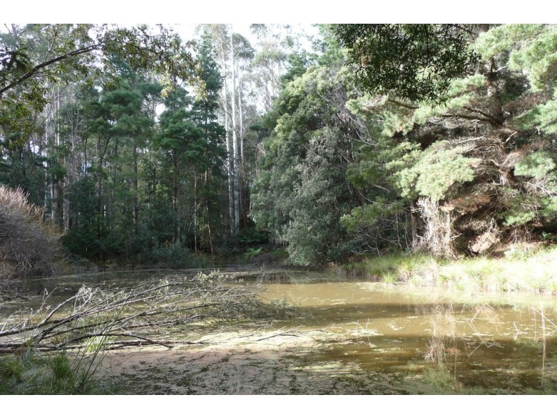 337 East Meander Road, Meander TAS 7304