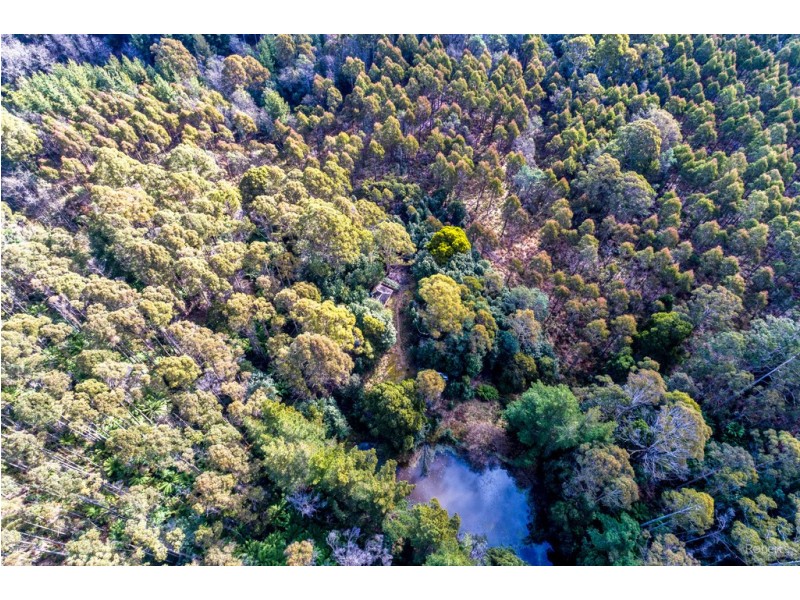 337 East Meander Road, Meander TAS 7304