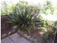 2-47 High St, East Launceston TAS 7250