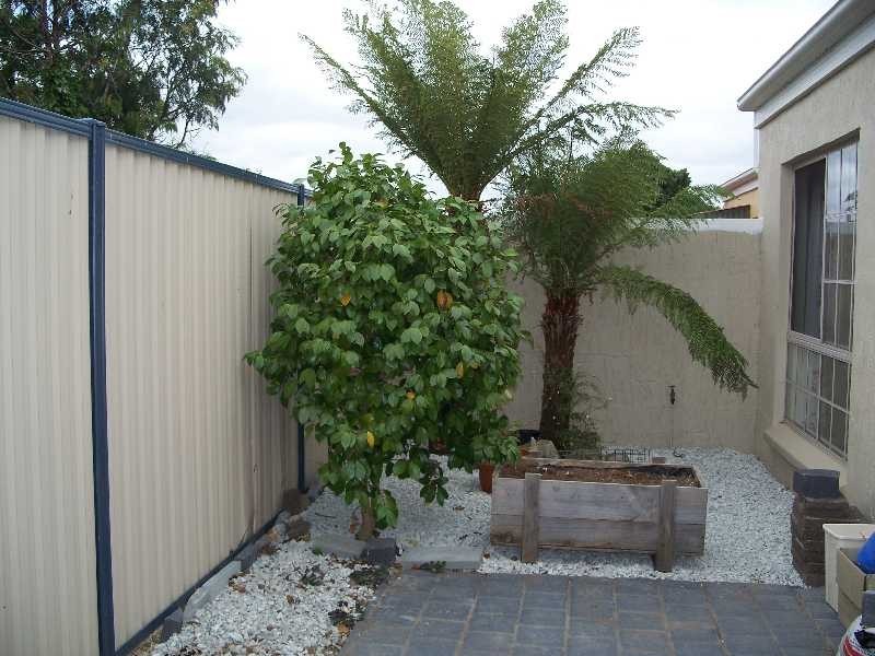 1/7 Pine Avenue, Newstead TAS 7250