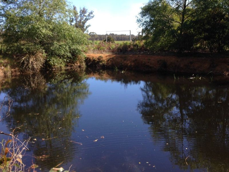75 Ten Mile Track, Scottsdale TAS 7260