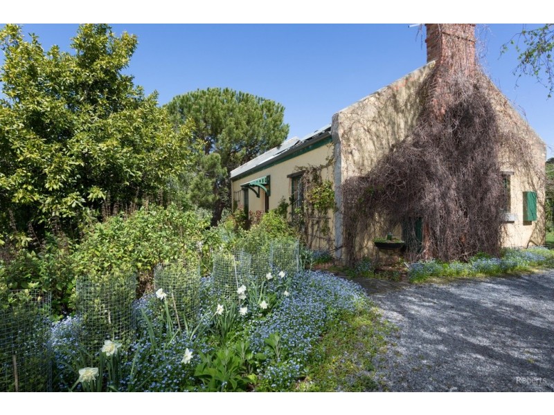 445 Mersey Hill Road, Mole Creek TAS 7304