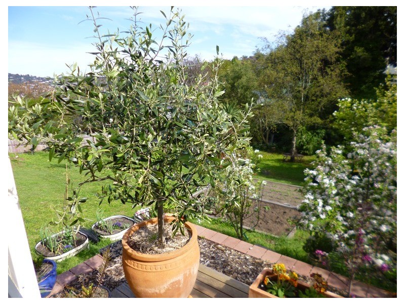 10 Galvin Street, South Launceston TAS 7249