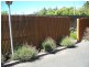 5/26 Pitt Avenue, Trevallyn TAS 7250