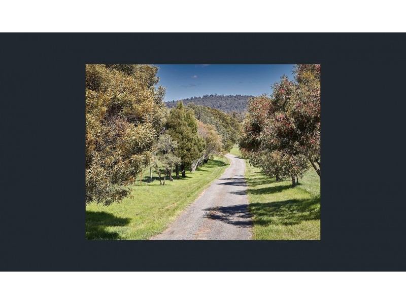 669 Windermere Road, Swan Bay TAS 7252