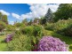 11C Churchill Cres, Newstead TAS 7250