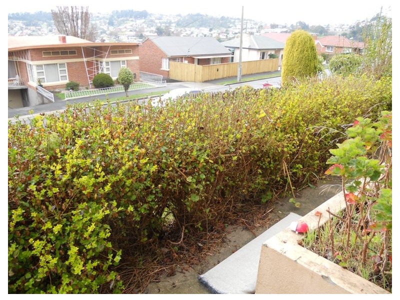 53a Heather Street, South Launceston TAS 7249