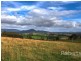 364 Mathinna Plains Road, Ringarooma TAS 7263