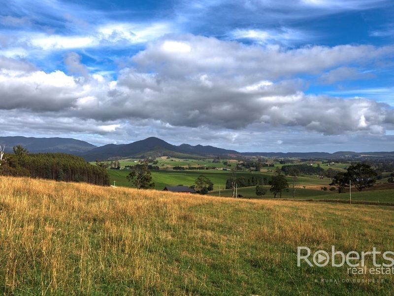 364 Mathinna Plains Road, Ringarooma TAS 7263