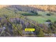 896 Patersonia Road, Patersonia TAS 7259