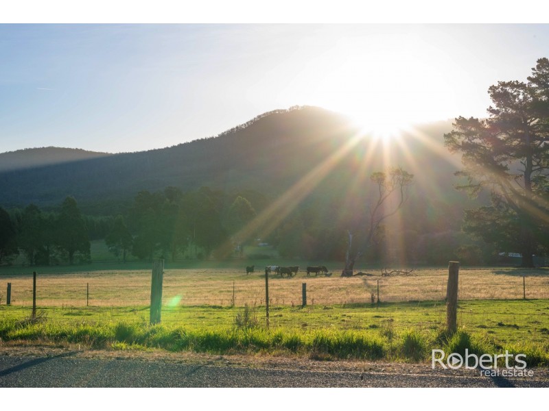 896 Patersonia Road, Patersonia TAS 7259