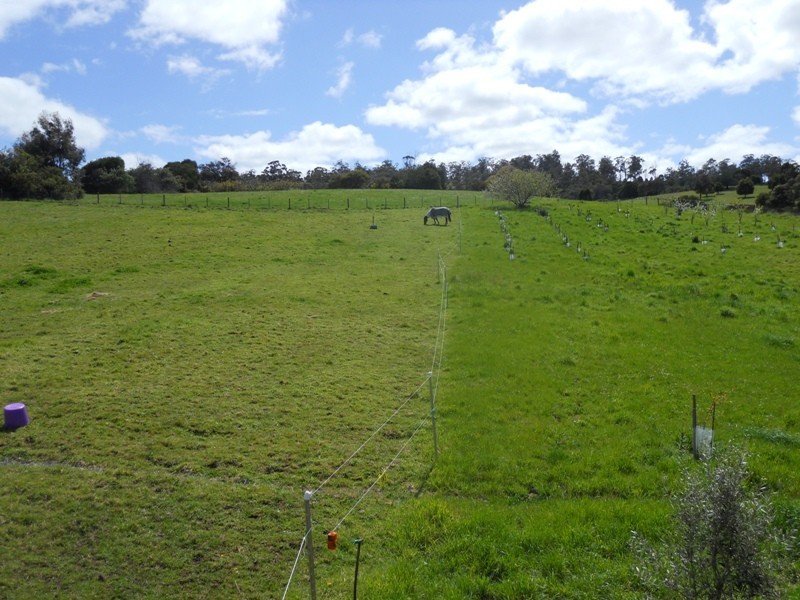 196 Windermere Road, Windermere TAS 7252