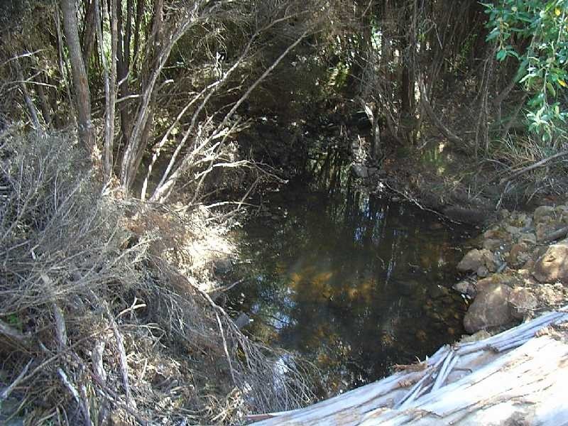 145 Goullees Road, Underwood TAS 7268