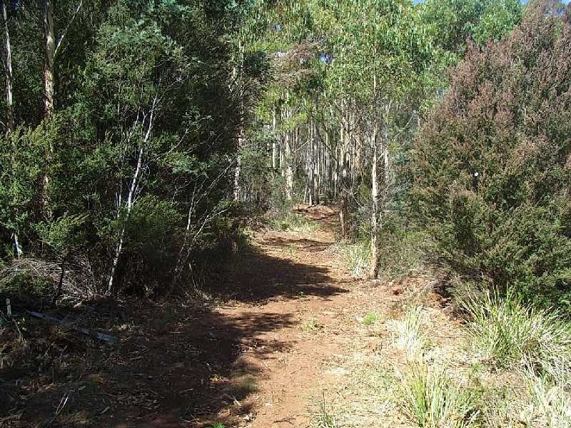 145 Goullees Road, Underwood TAS 7268