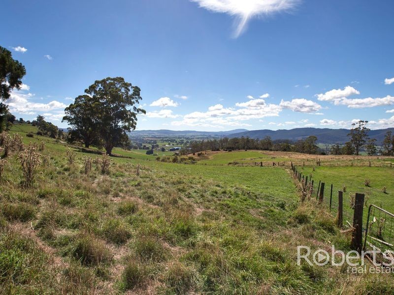 543 Mathinna Plains Road, Ringarooma TAS 7263