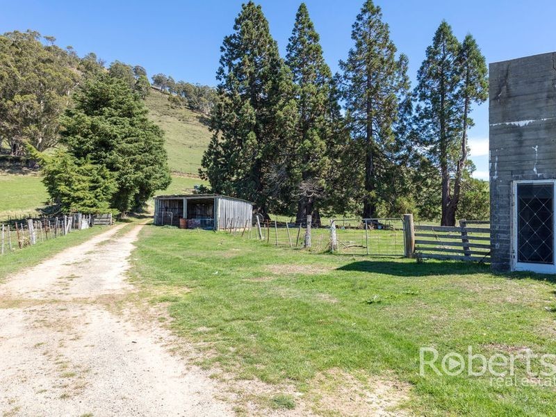 543 Mathinna Plains Road, Ringarooma TAS 7263