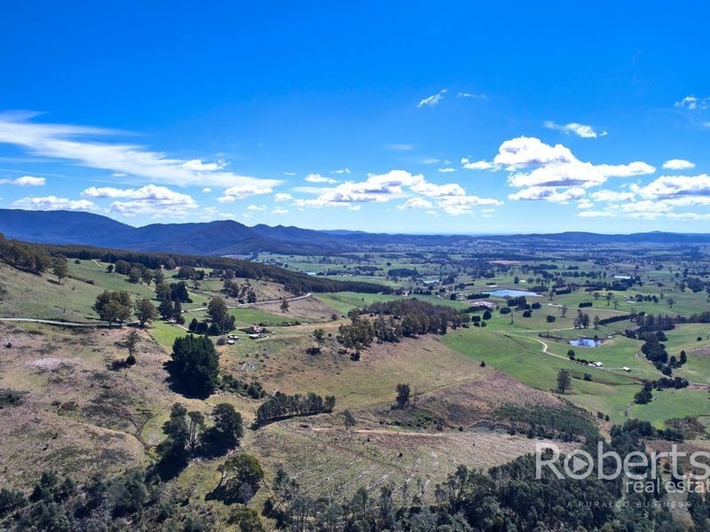543 Mathinna Plains Road, Ringarooma TAS 7263