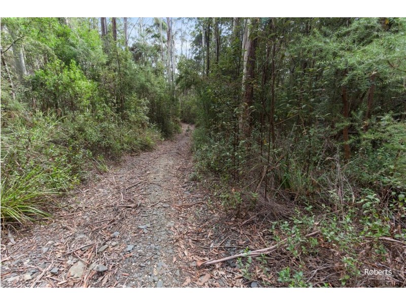 691A Brown Mountain Road, Underwood TAS 7268