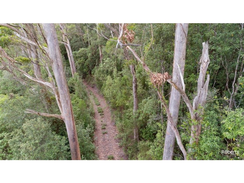 691A Brown Mountain Road, Underwood TAS 7268