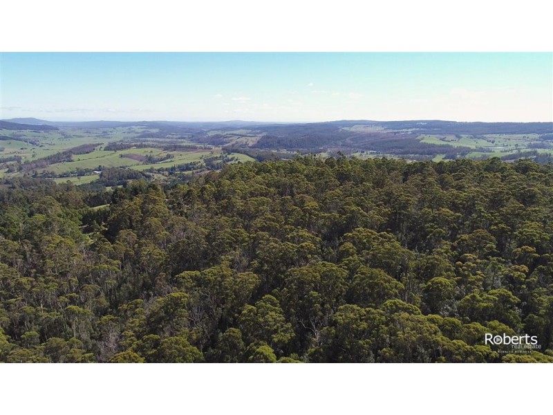 691A Brown Mountain Road, Underwood TAS 7268