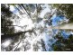 691A Brown Mountain Road, Underwood TAS 7268