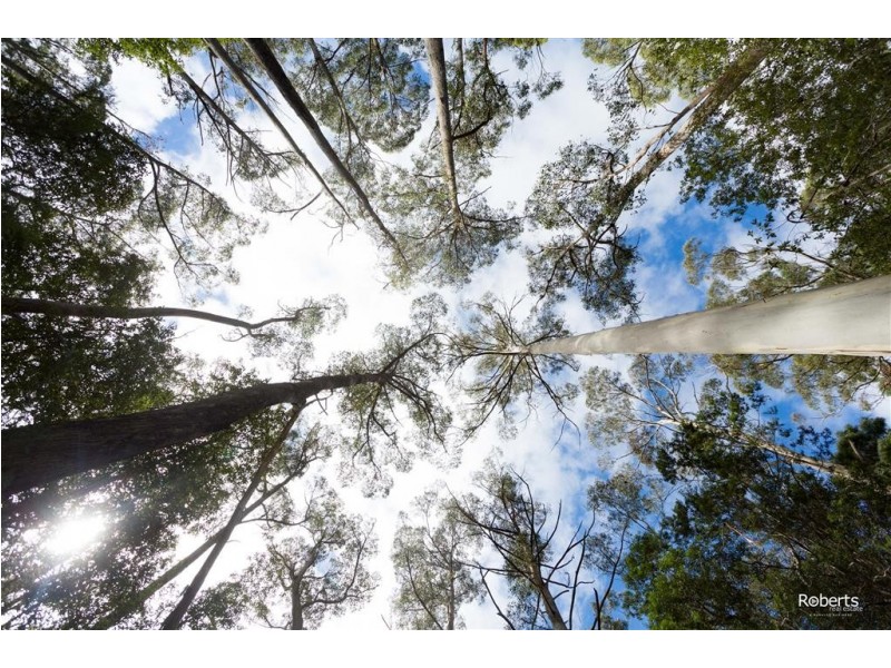 691A Brown Mountain Road, Underwood TAS 7268