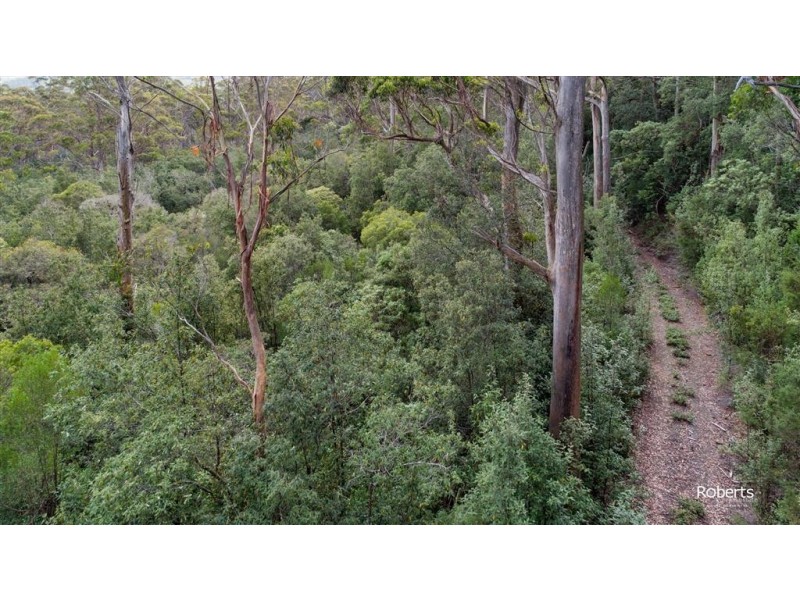 691A Brown Mountain Road, Underwood TAS 7268