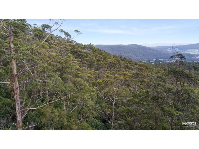 691A Brown Mountain Road, Underwood TAS 7268