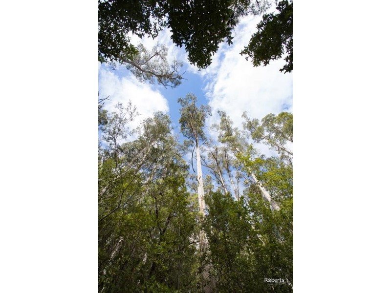 Lot 3 Brown Mountain Road, Underwood TAS 7268