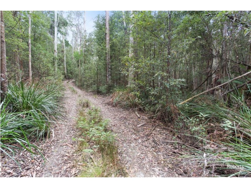 Lot 3 Brown Mountain Road, Underwood TAS 7268