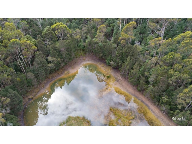 Lot 3 Brown Mountain Road, Underwood TAS 7268