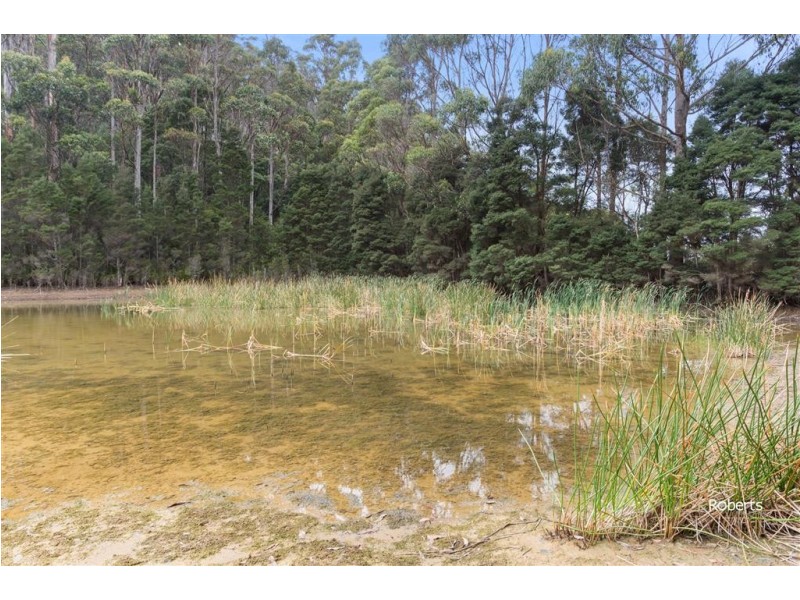 Lot 3 Brown Mountain Road, Underwood TAS 7268