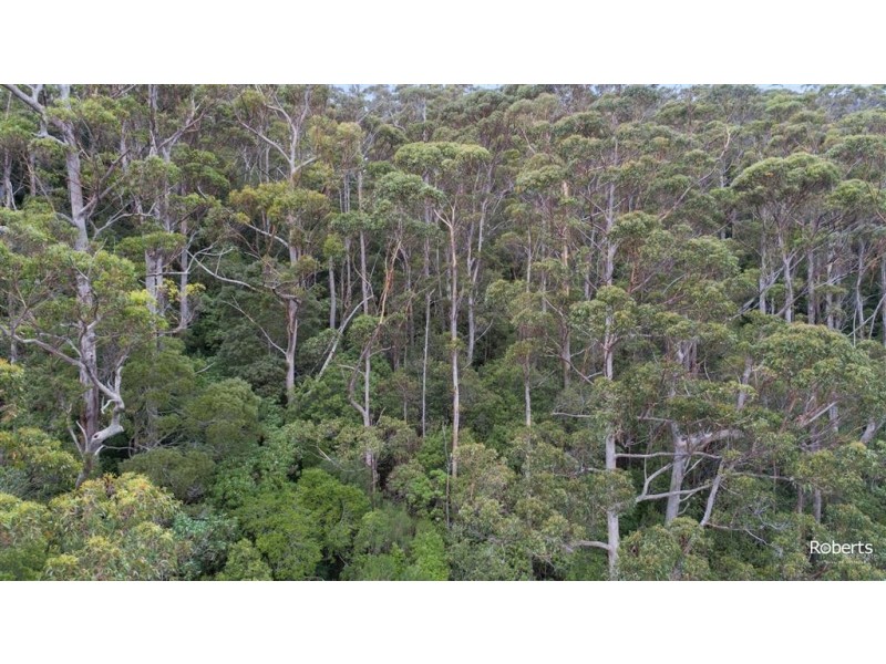 Lot 3 Brown Mountain Road, Underwood TAS 7268