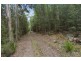 Lot 3 Brown Mountain Road, Underwood TAS 7268