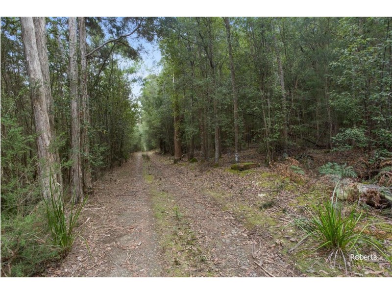 Lot 3 Brown Mountain Road, Underwood TAS 7268