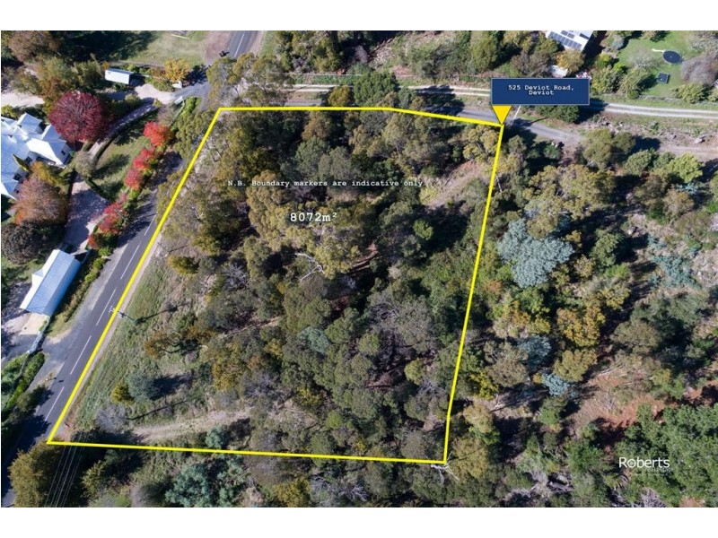 525 Deviot Road, Deviot TAS 7275