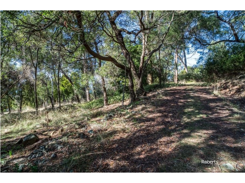 525 Deviot Road, Deviot TAS 7275