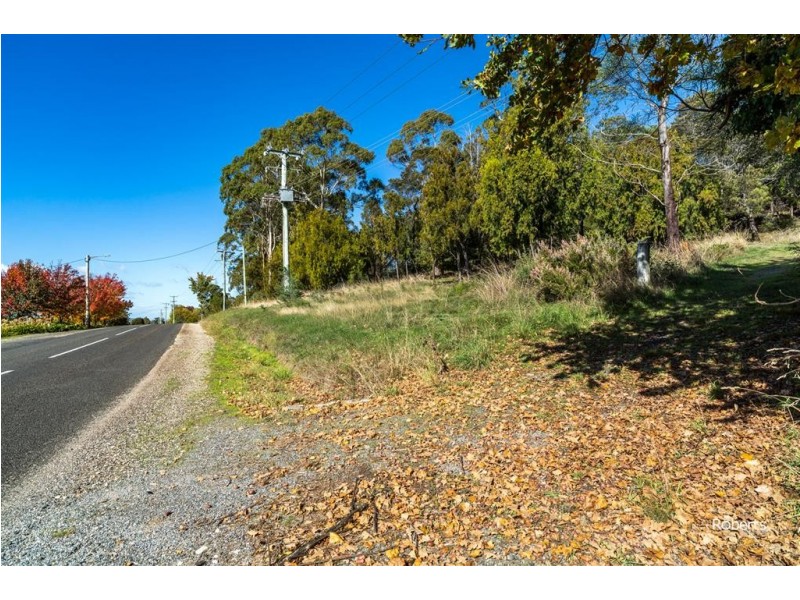 525 Deviot Road, Deviot TAS 7275