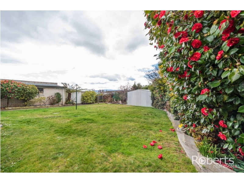 29 Oaktree Road, Youngtown TAS 7249