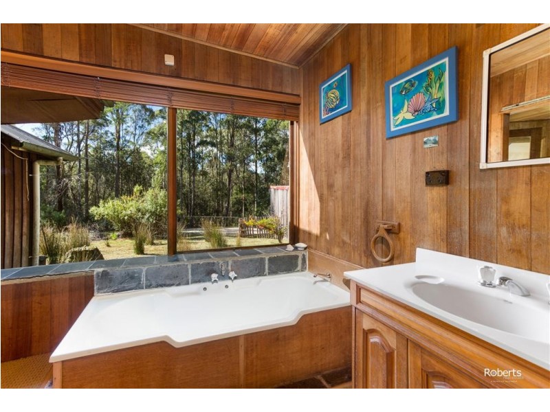 531 Larcombes Road, Reedy Marsh TAS 7304