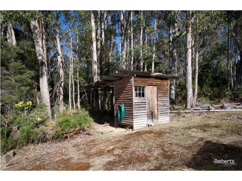 531 Larcombes Road, Reedy Marsh TAS 7304