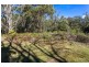 531 Larcombes Road, Reedy Marsh TAS 7304