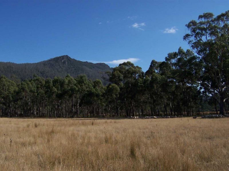 105 Mt Arthur Road, Patersonia TAS 7259