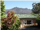 105 Mt Arthur Road, Patersonia TAS 7259