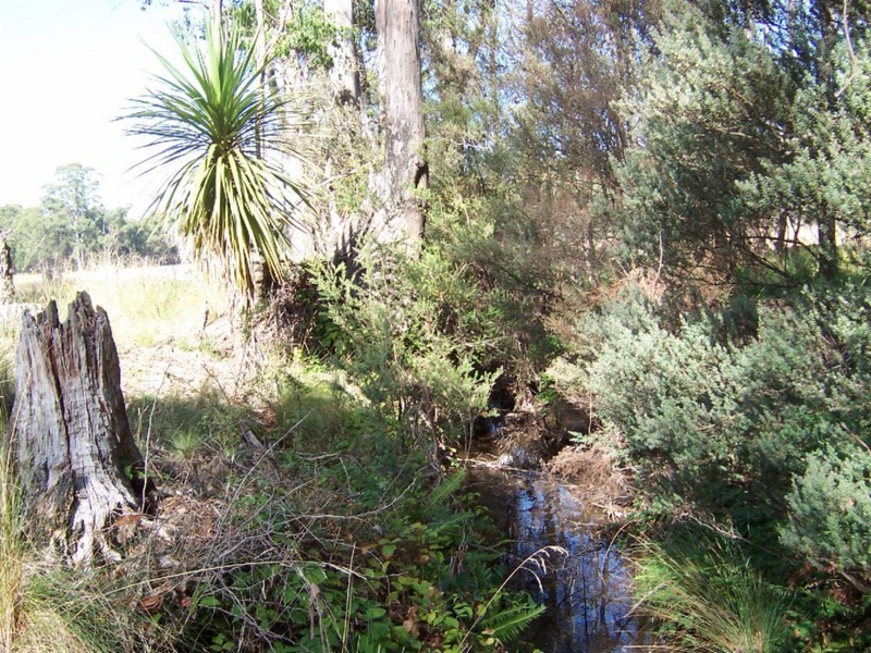 105 Mt Arthur Road, Patersonia TAS 7259