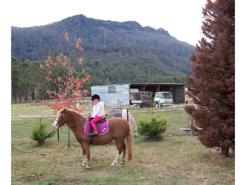 105 Mt Arthur Road, Patersonia TAS 7259