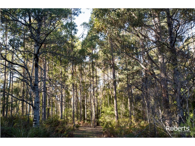 300 Gundagai Road, Bangor TAS 7267