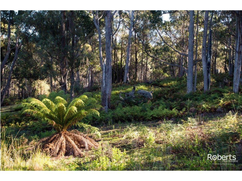 300 Gundagai Road, Bangor TAS 7267