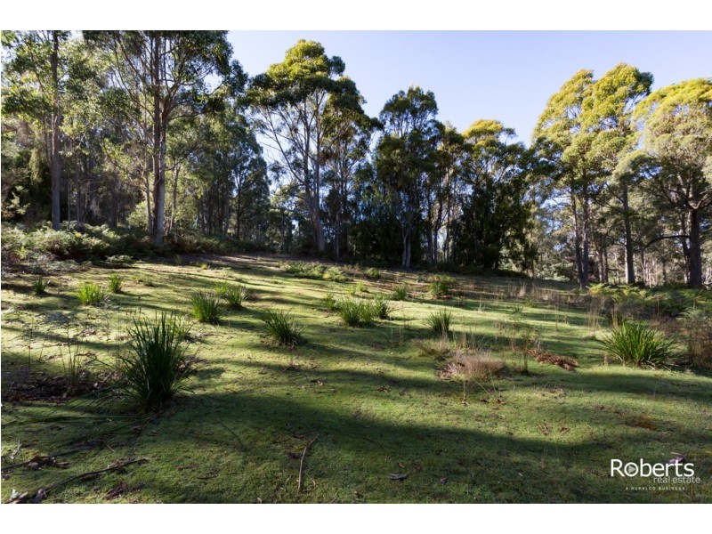 300 Gundagai Road, Bangor TAS 7267