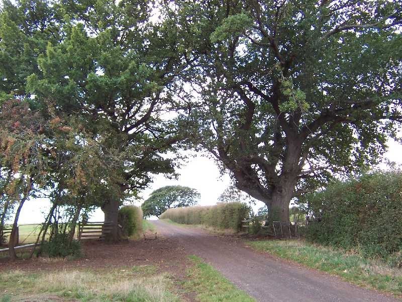 340 Green Rises Road, Cressy TAS 7302